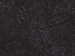 Night sky filled with stars