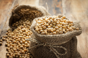 Soy beans