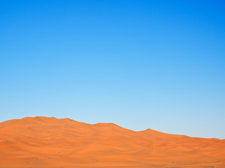 Naklejka premium サハラ砂漠