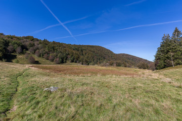 automne dans les vosges