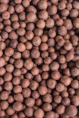 allspice