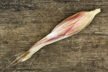 Fresh corn © smaliariryna