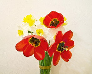 bouquet of tulips and narcissus