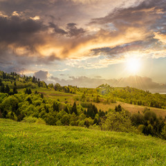 village on hillside meadow with forest in mountain at sunset