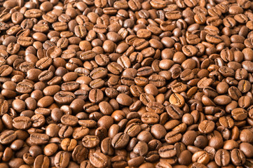 Roasted Whole Coffee Beans