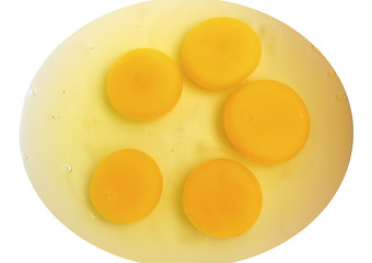 Raw egg