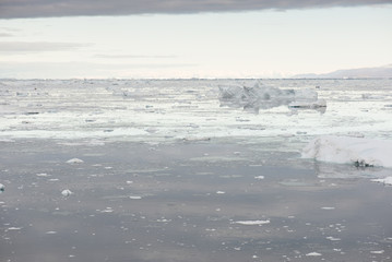 Arctic seascape in Greenland