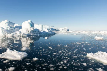 Foto op Plexiglas IJsbergen in Groenland © Arrlfx