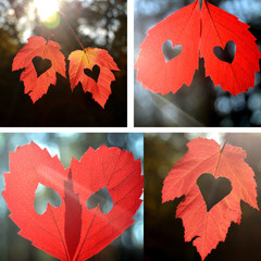Collection of heart with leaves