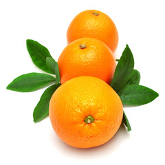 Sweet orange fruit with leaf