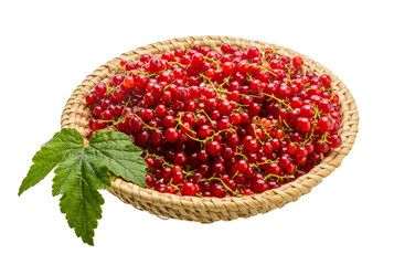 Red currant