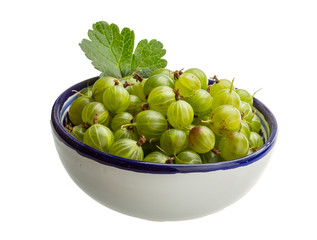 Gooseberry