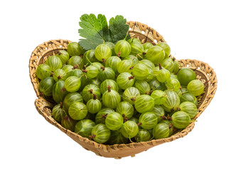 Gooseberry