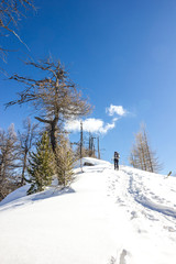 Obraz premium Ragazza ciaspola in montagna