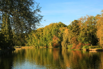 Fototapeta premium Automne