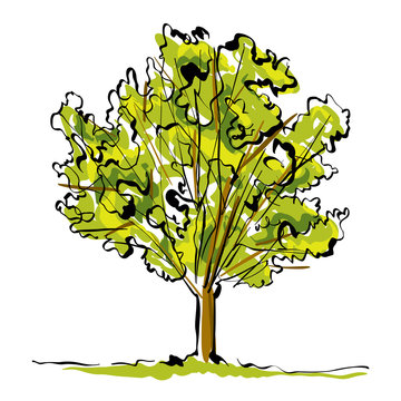 Green hand drawn tree on white background, simple illustration.