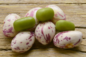 Phaseolus vulgaris Gartenbohne Haricot Фасоль обыкновенная