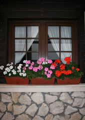 Fototapeta na wymiar window with flowerpots
