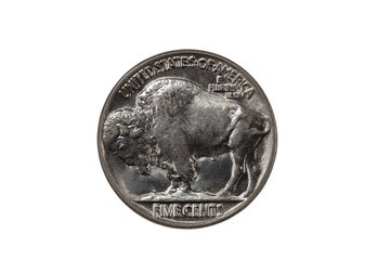 Pristine Buffalo Nickel on white background