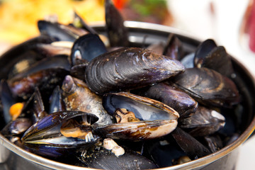 mussles