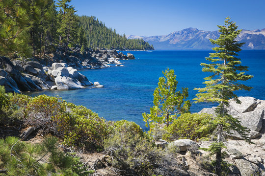 Beautiful Shoreline of Lake Tahoe