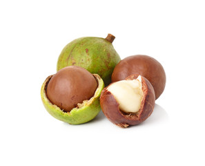Obraz premium macadamia nuts on white background