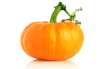 Fresh pumpkin
