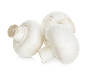 Champignon mushrooms isolated on white background