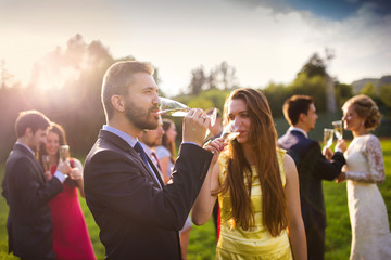 Wedding guests drinking champagne
