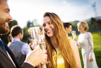 Wedding guests clinking glasses