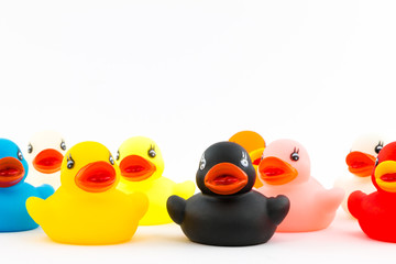 Group of Rubber Ducks