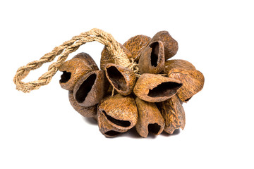 Indonesian castanets