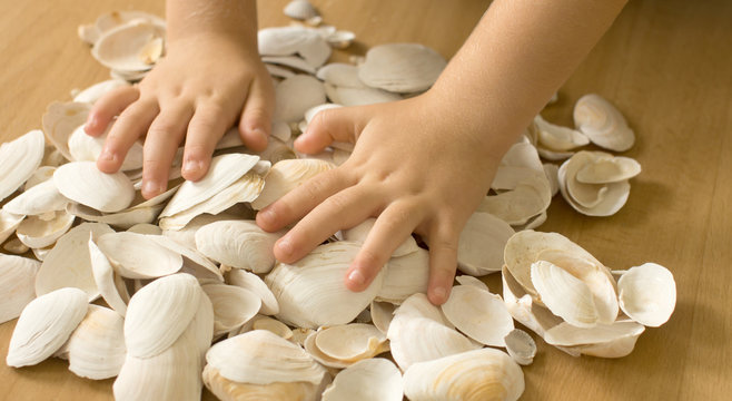 h&auml;nde auf muscheln