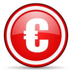 euro web icon