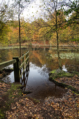 Fototapeta na wymiar Beautiful vibrant Autumn woodland reflecions in calm lake waters