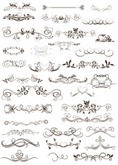 vector set: calligraphic design elements