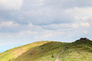 Nature. Green mountain landscape in the summer