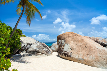 Fototapeta na wymiar Picture perfect beach at Caribbean