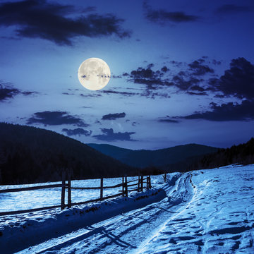 snowy road to coniferous forest in mountains in moon light