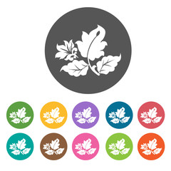 Random flower leaves icon. Flower icon set. Round  colourful 12