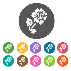 Carnation icon. Flower icon set. Round  colourful 12 buttons. Ve