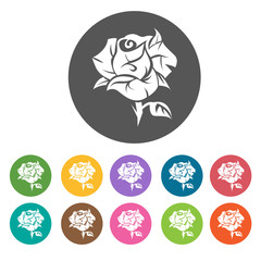 Bloomed rose icon. Flower icon set. Round  colourful 12 buttons.