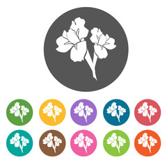 Yellow Bell icon. Flower icon set. Round  colourful 12 buttons.