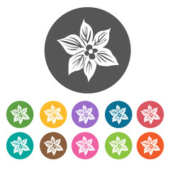Azalea icon. Flower icon set. Round  colourful 12 buttons. Vecto