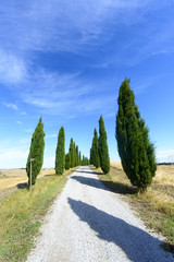 Crete Senesi (Tuscany, Italy)
