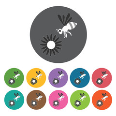 Bee and flower icon. Honey relate icon set. Round colourful 12 b