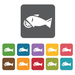 Fish icon. Attraction of japanese icon set. Rectangle colourful