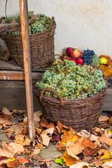 autumnal still life with fruit and leaves on a wooden base