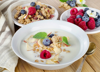 Bowl of muesli and yogurt with  berries