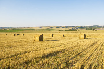 Naklejka premium Bales of hay in a large field.